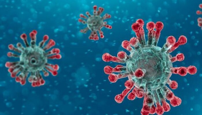 Coronavirus canale Telegram TecnoAndroid ultime news