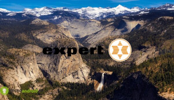 expert