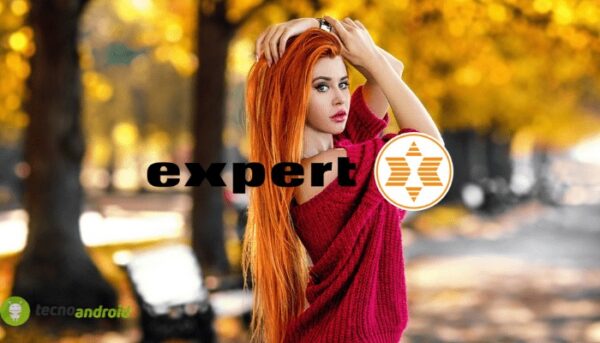 expert