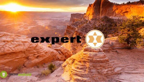 expert