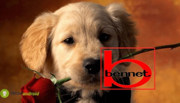 bennet