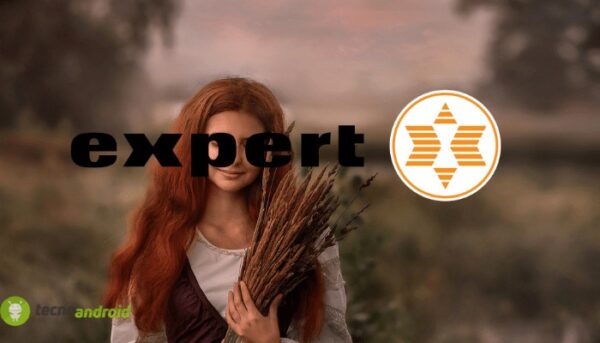 expert