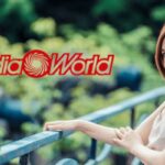 mediaworld