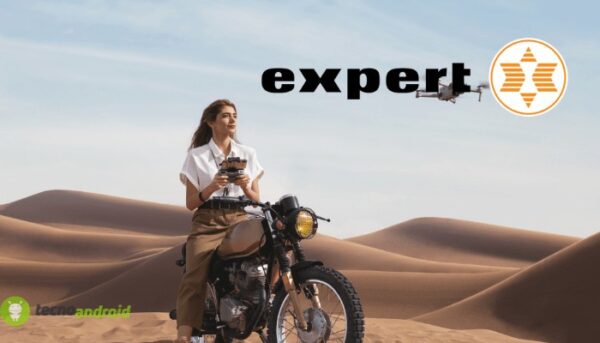expert