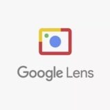 Google Lens riconoscere razza cani gatti