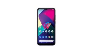 LG W31 Google Play Console