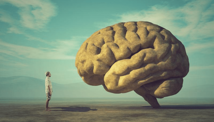 Scienza: gli studi dichiarano che il cervello inizia a declinare a 45 anni