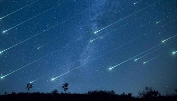 stelle cadenti