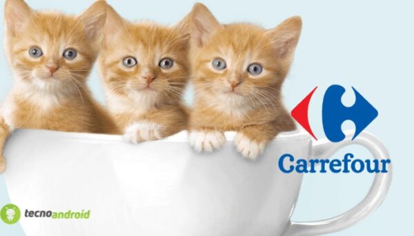 carrefour