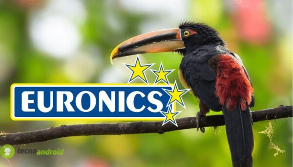 euronics