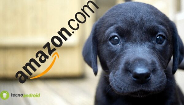 amazon