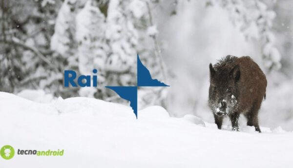 canone rai