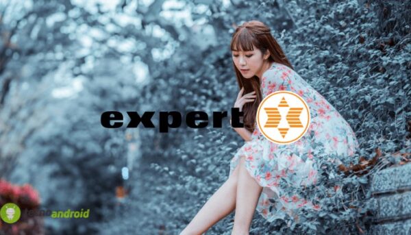 expert
