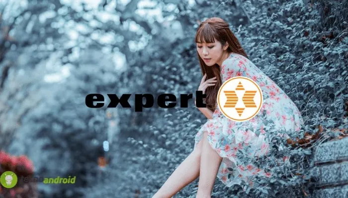 expert