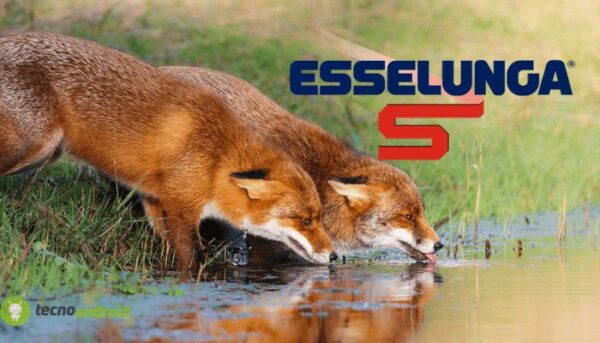 esselunga