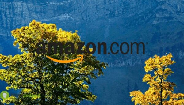 amazon