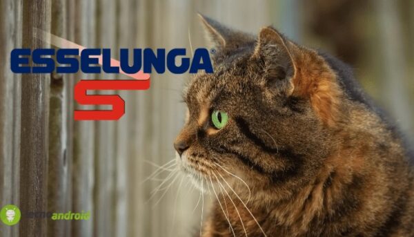 esselunga