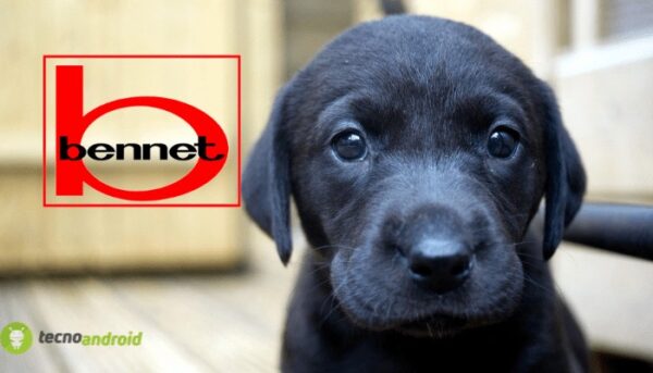 bennet