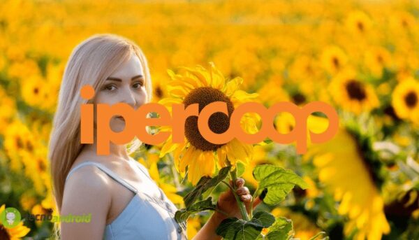 coop