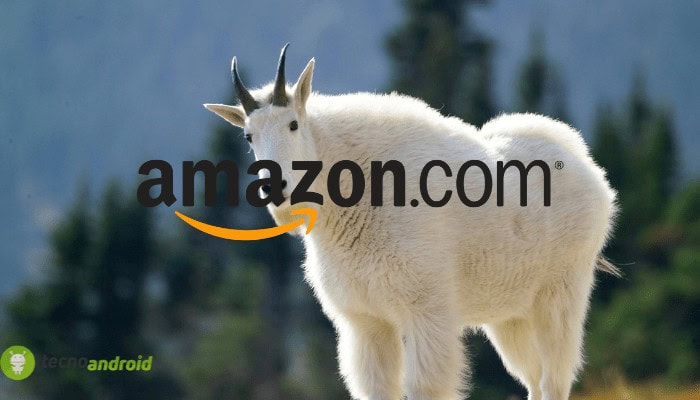 Amazon è folle: offerte Black Friday quasi gratis nell’elenco segreto