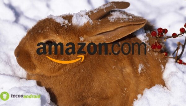 amazon
