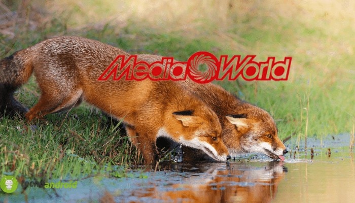 MediaWorld distrugge Esselunga: il suo volantino è migliore