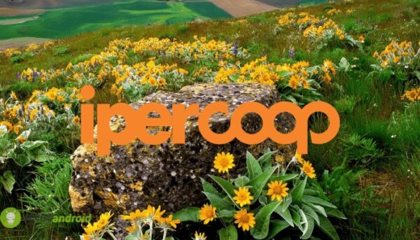 coop