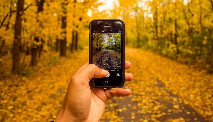 Google Foto ecco alcune alternative