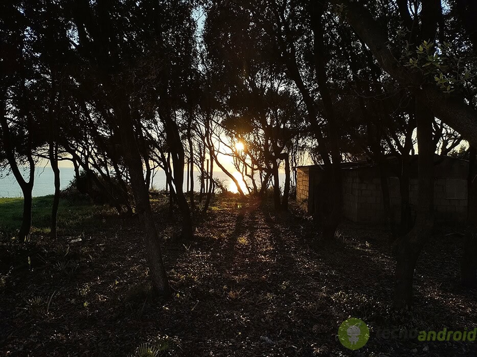 IMG_20201101_163802284_HDR mod