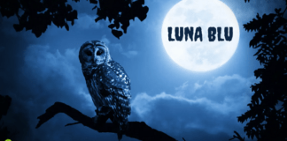 Luna Blu: nella notte degli spiriti in cielo accadrà qualcosa di strano