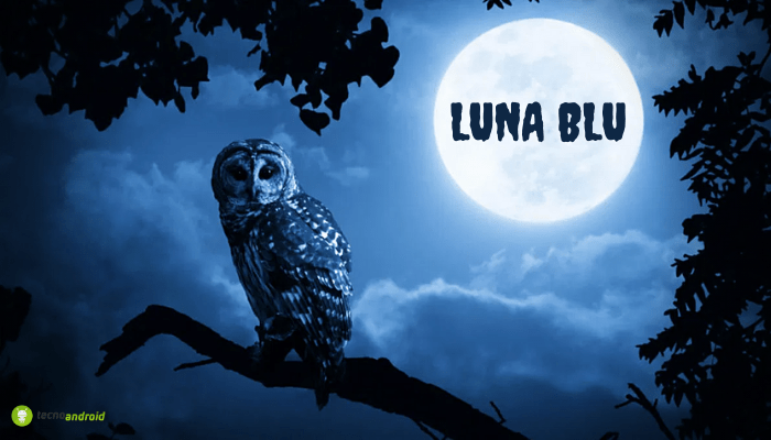 Luna Blu: nella notte degli spiriti in cielo accadrà qualcosa di strano