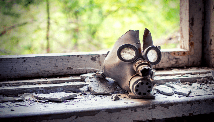 Chernobyl: il fungo speciale che ci ha protetti dalle sostanze radioattive