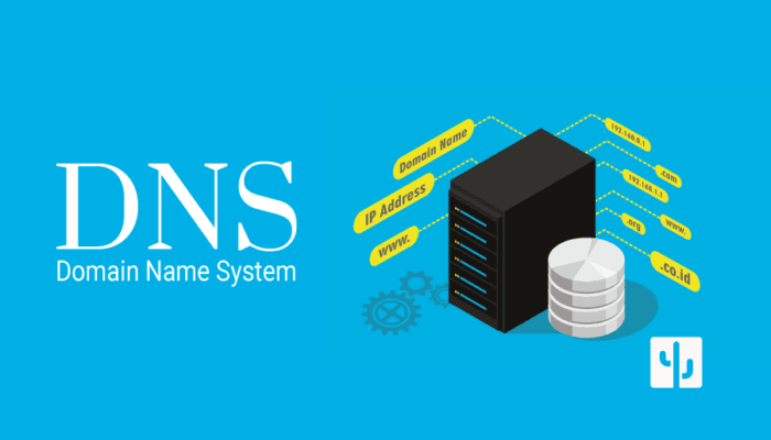 DNS