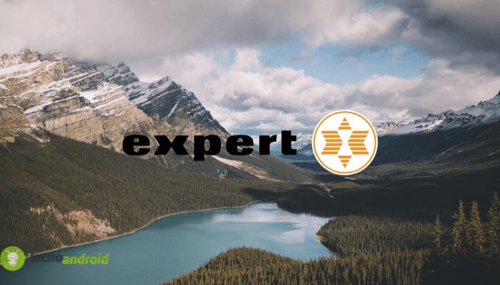 expert