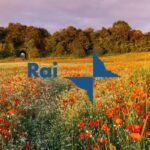 canone rai