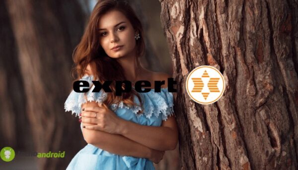 expert
