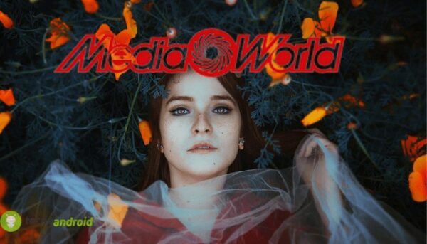 mediaworld