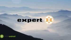expert