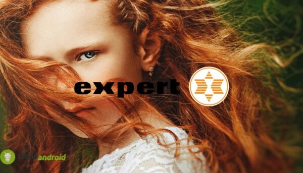 expert