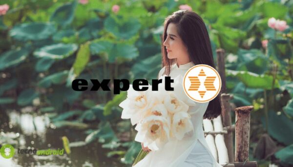 expert