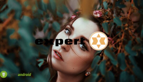 expert