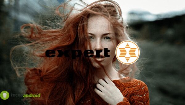 expert