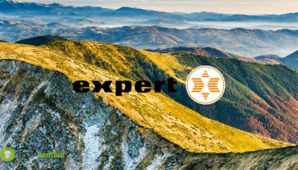 expert