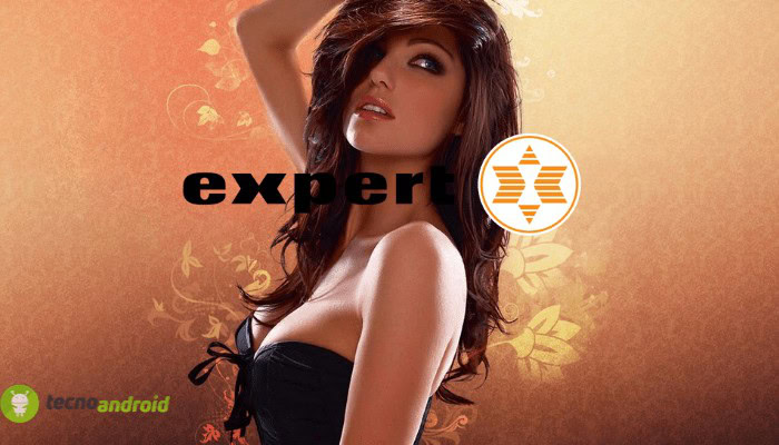 expert expert