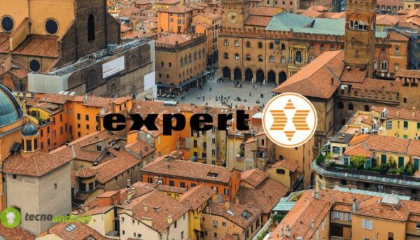 expert
