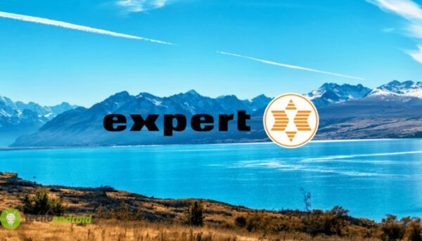 expert