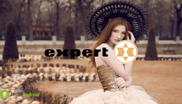 expert