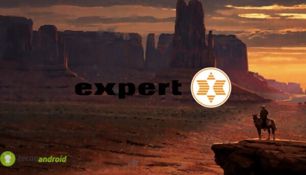 expert