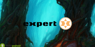 expert