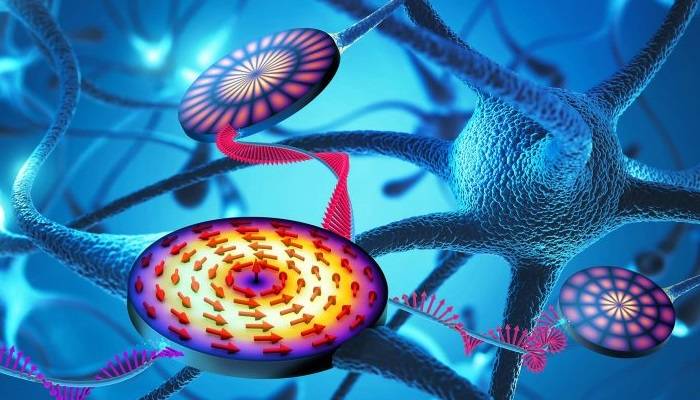 Onda divisa: i ricercatori sviluppano componenti per computer neuromorfici
